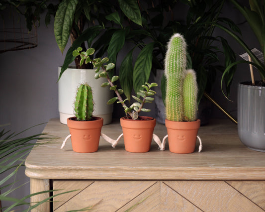 Hand-Holding Succulent Pots Ceramic Planters