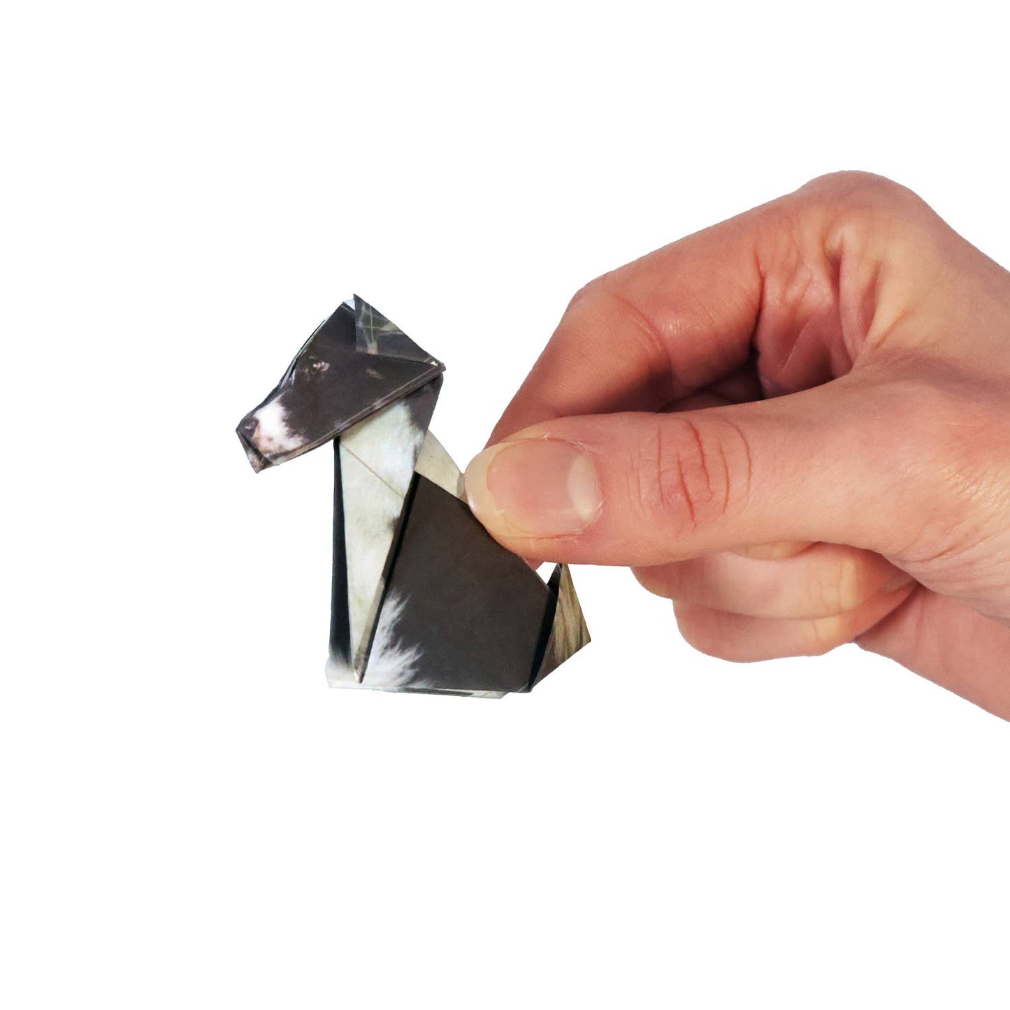 Paper Pups DIY Origami Kit