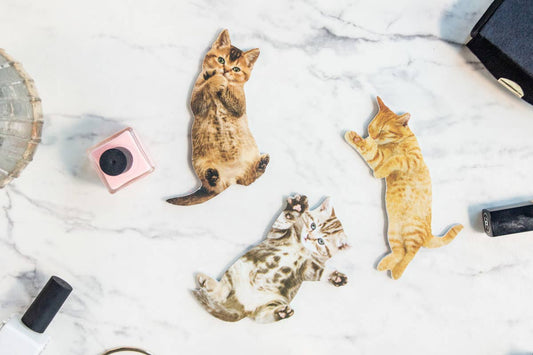 Cat Nail Files - Assorted