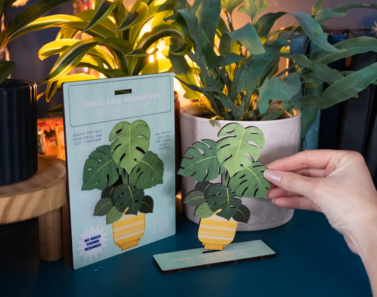 Unkillable Houseplant Monstera Deliciosa