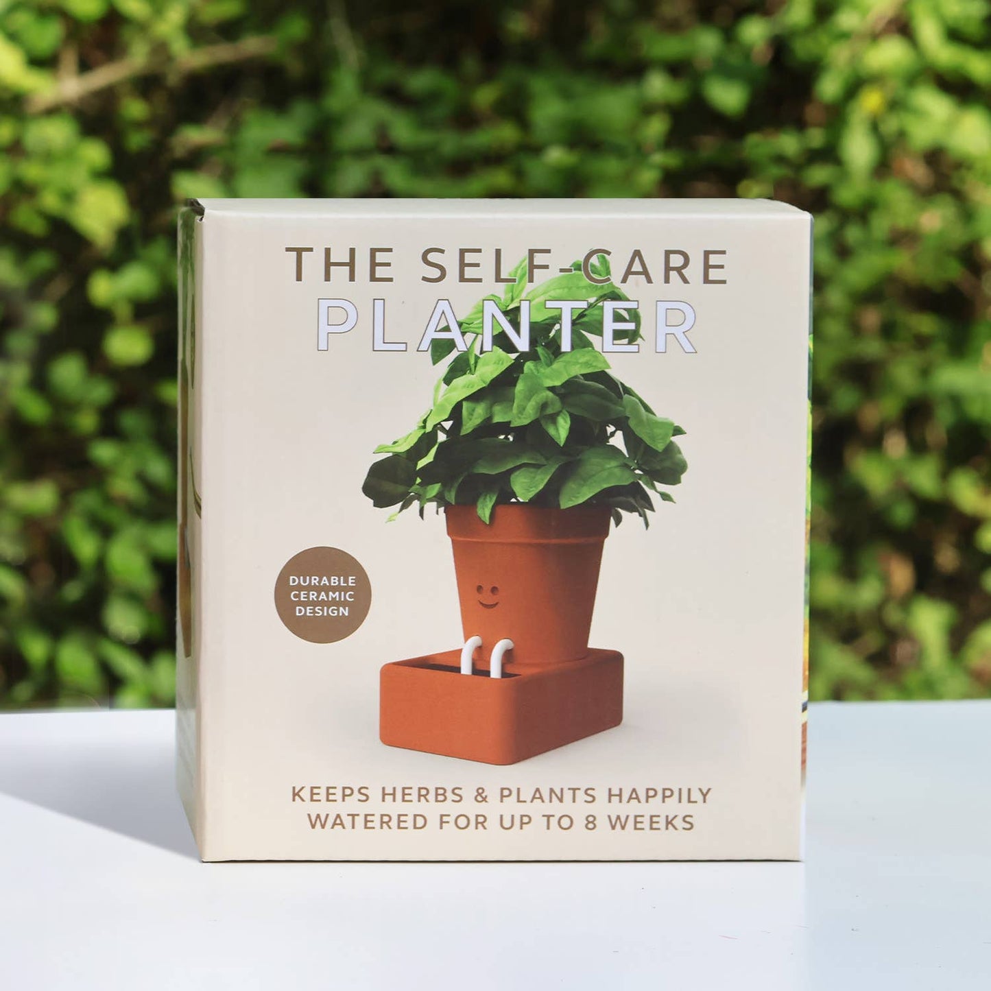 Self Care Planter Self Watering Plant Pot