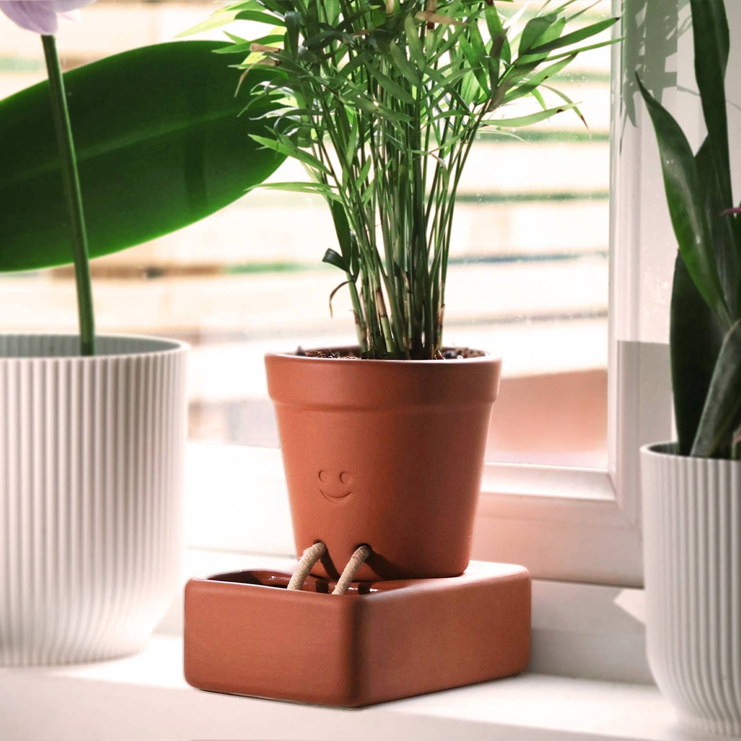 Self Care Planter Self Watering Plant Pot