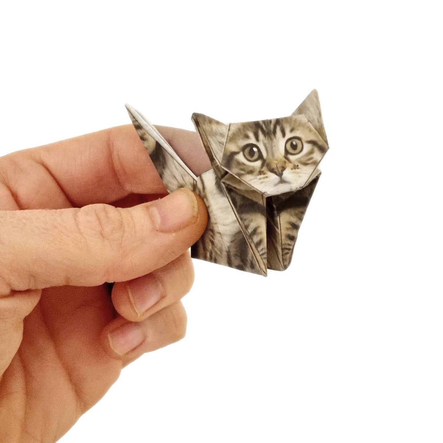 Paper Cats DIY Origami Kit