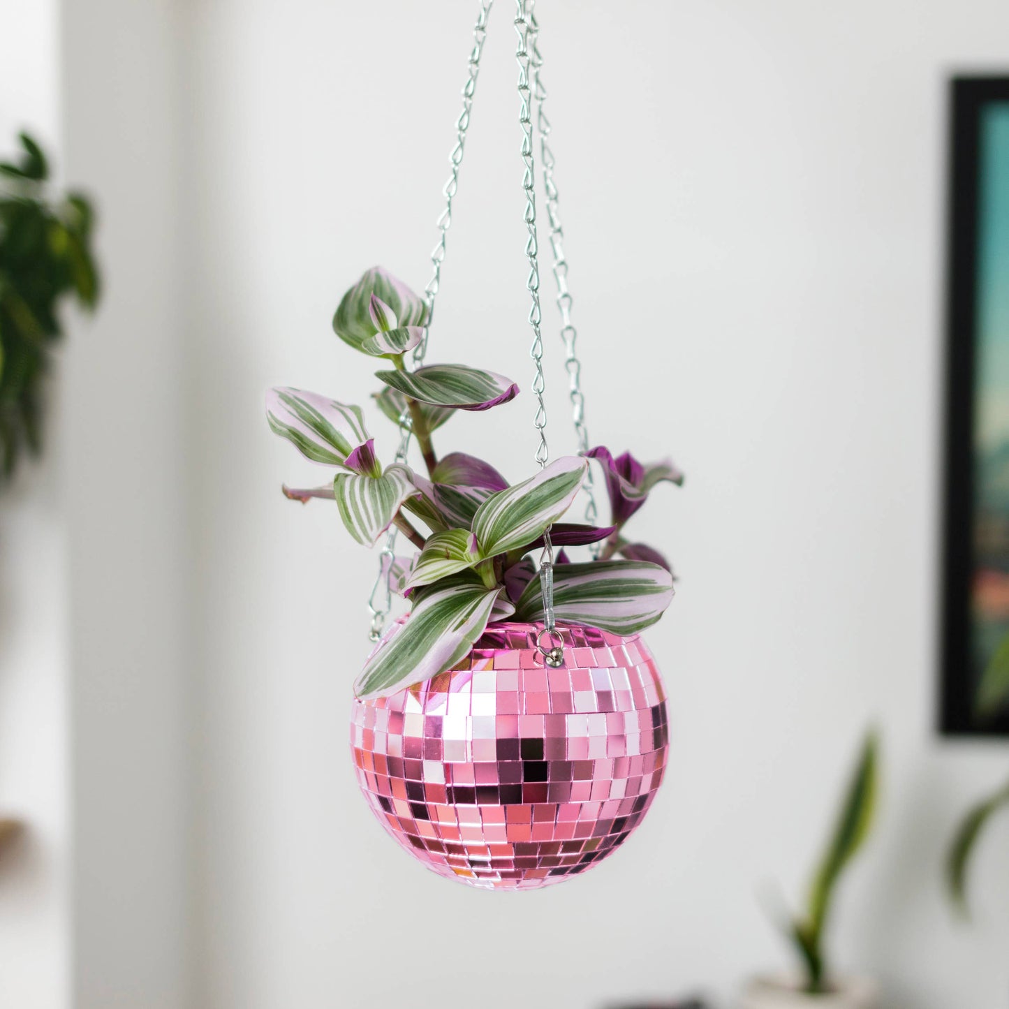 hanging planter pink Disco Ball Hanging Planter