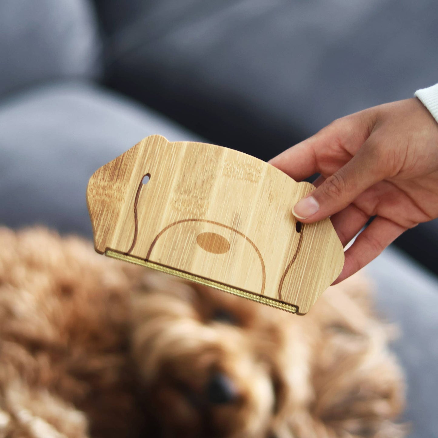 Dog Hair Remover Reusable Lint Remover