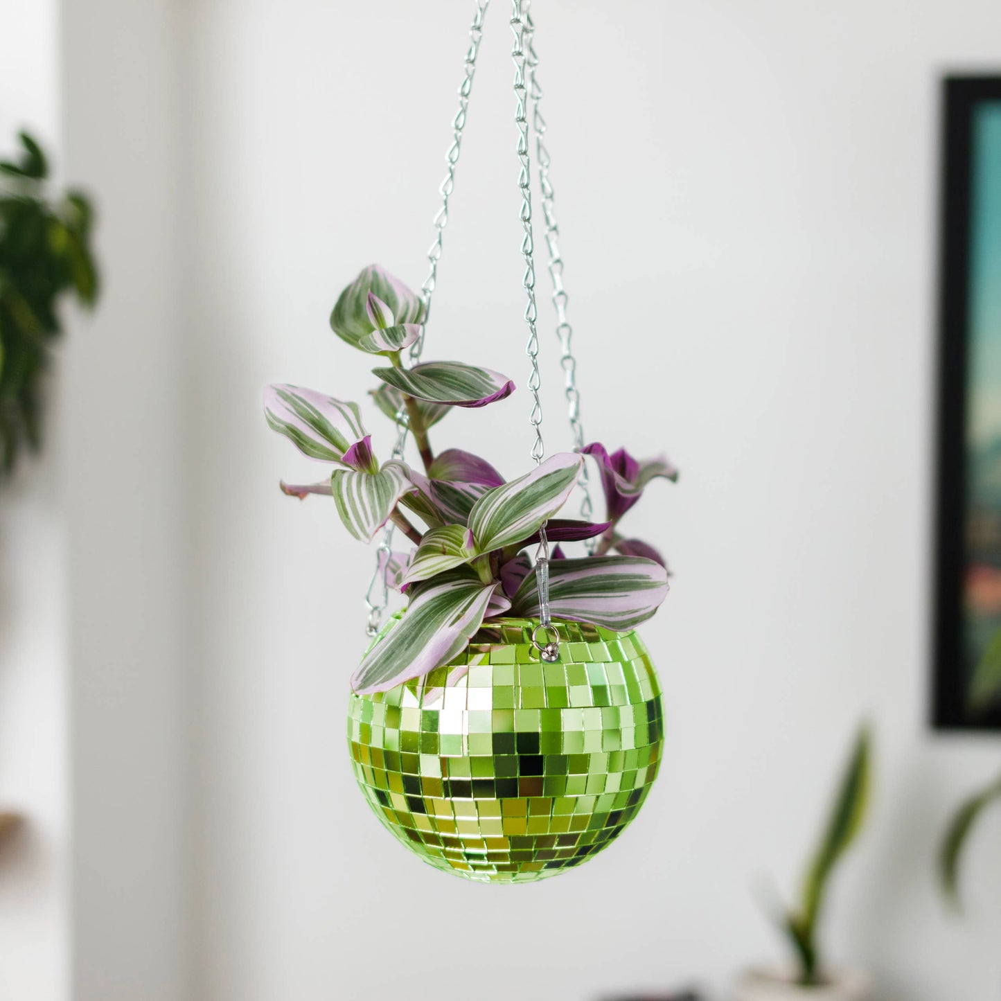 Disco Ball Hanging Planter - Green (6in)