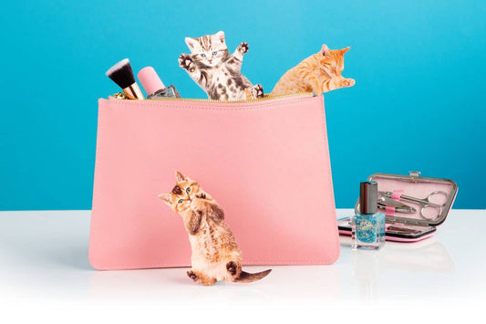Cat Nail Files - Assorted