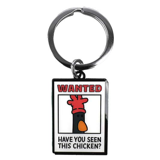 Feathers Poster Keyring