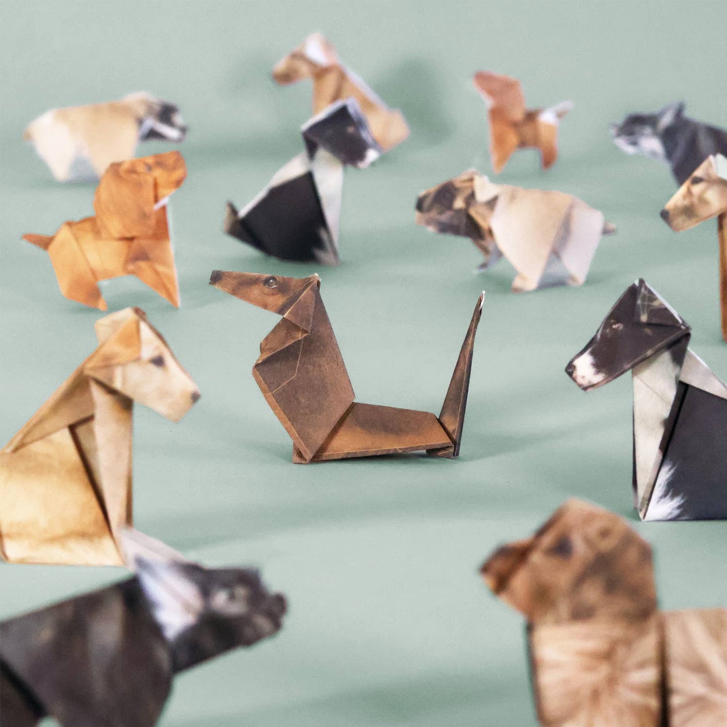 Paper Pups  DIY Origami Kit