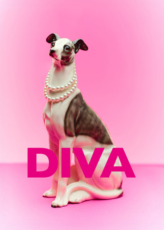 Diva Dog Print A4