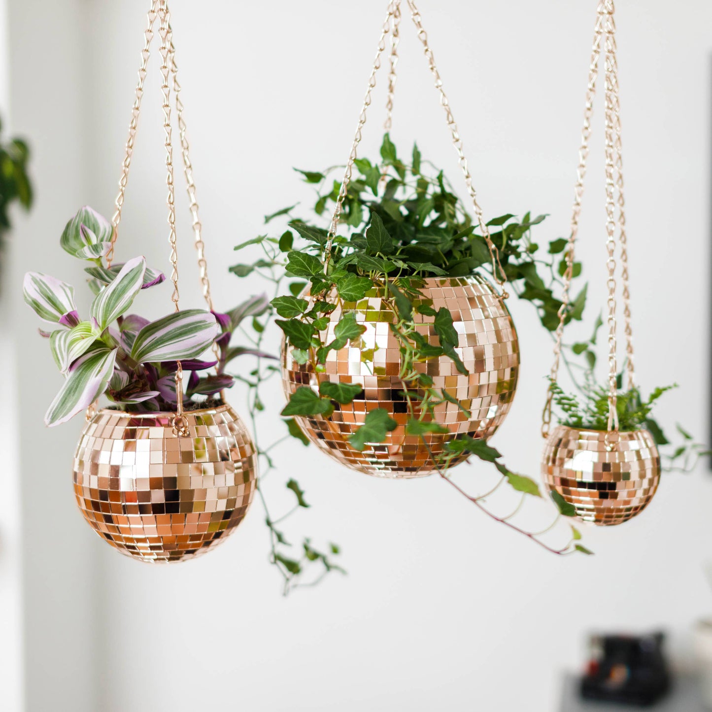 Disco Ball Hanging Planter - Rose Gold (8in)