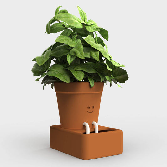 Self Care Planter Self Watering Plant Pot