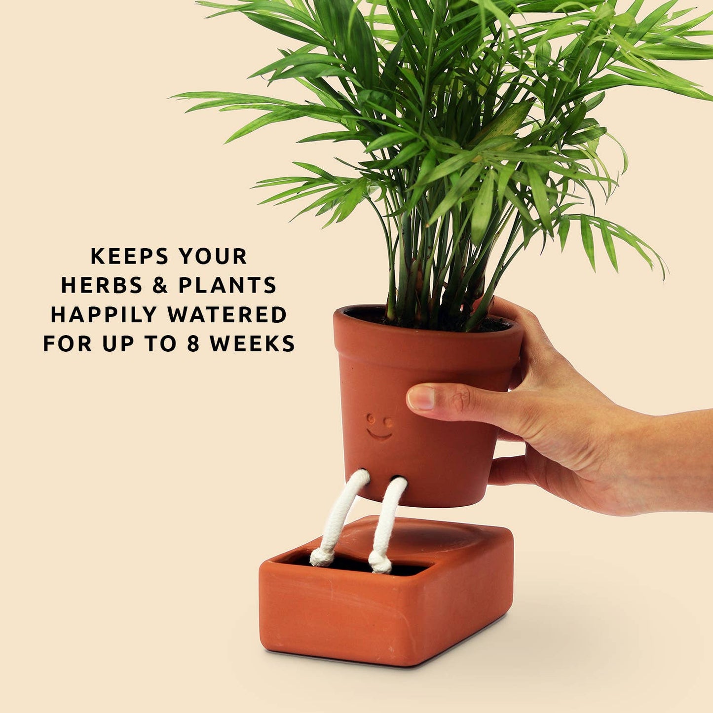 Self Care Planter Self Watering Plant Pot