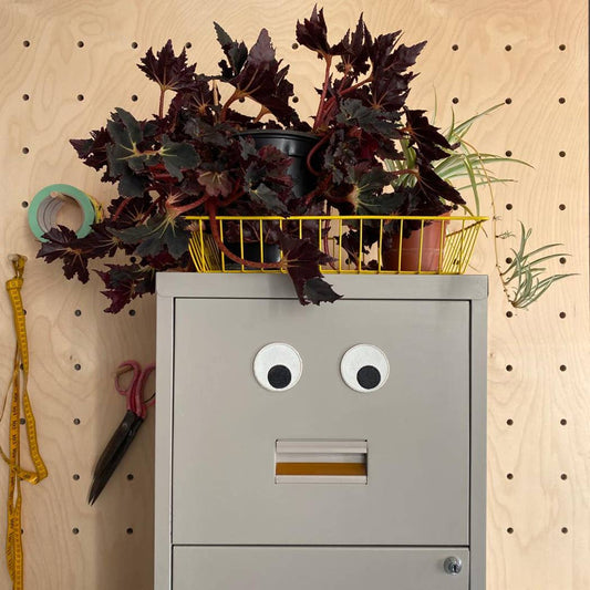 Googly Eye Novelty Magnets