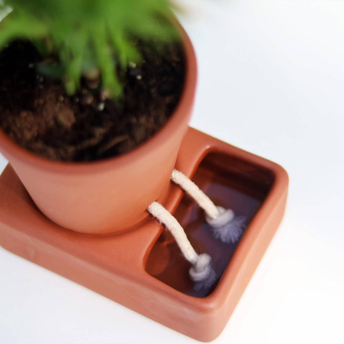 Self Care Planter Self Watering Plant Pot