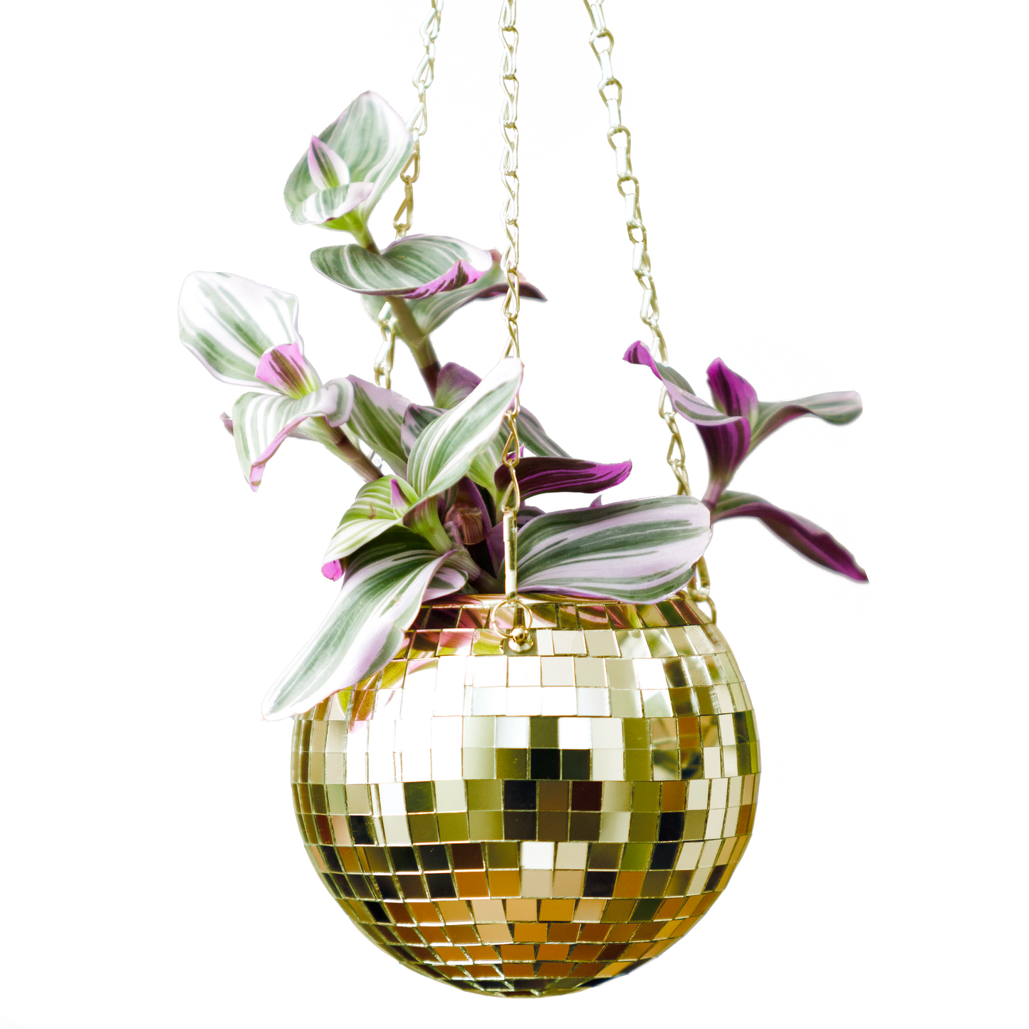 Disco Ball Hanging Planter - Gold (6in)