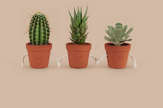 Hand-Holding Succulent Pots Ceramic Planters