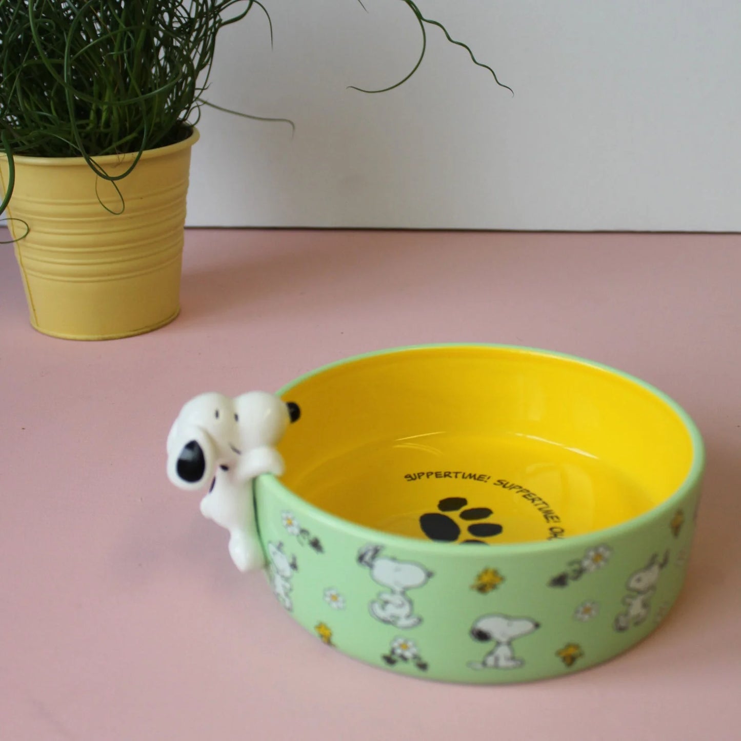 Peanuts Dog Bowl