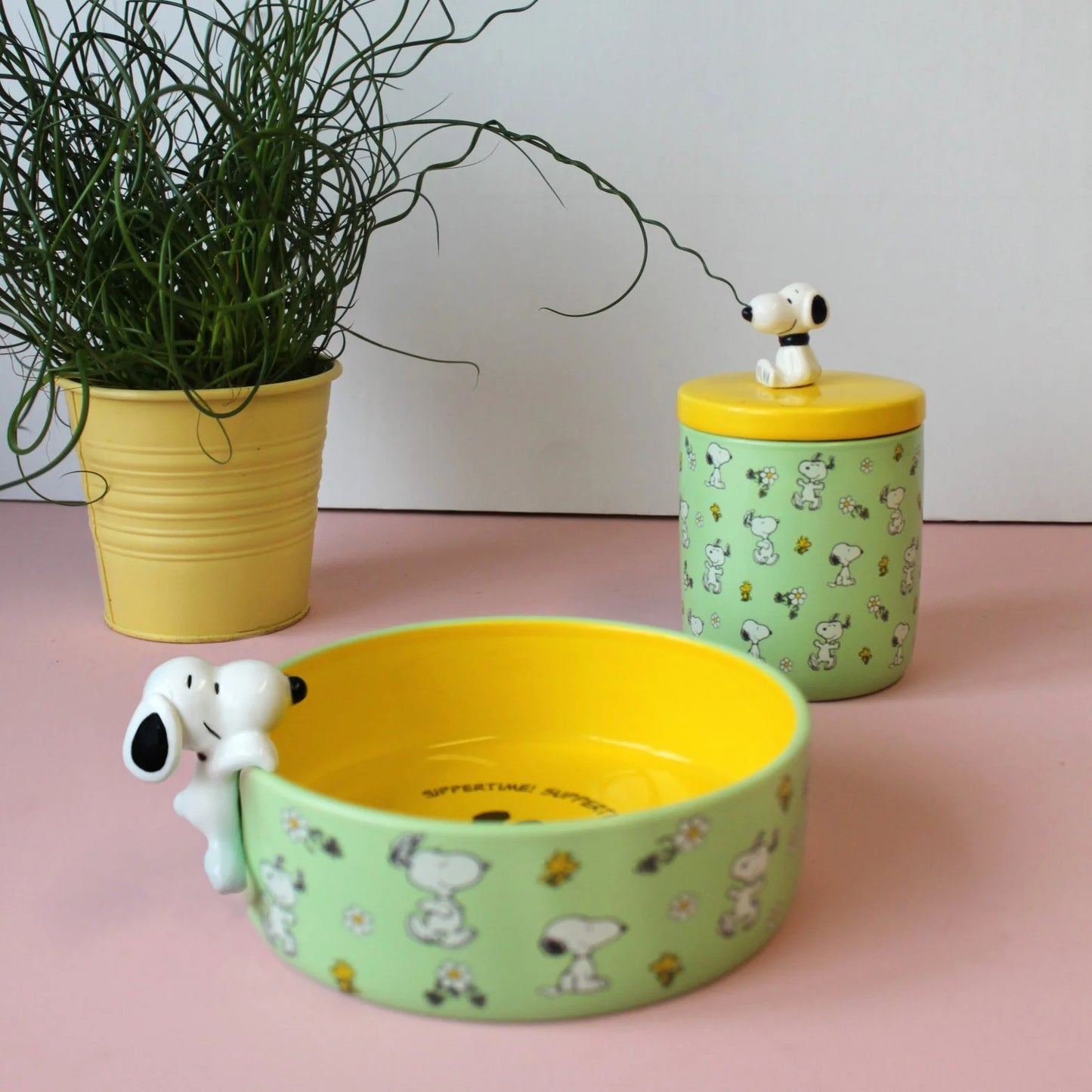 Peanuts Dog Bowl