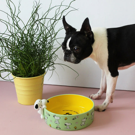 Peanuts Dog Bowl